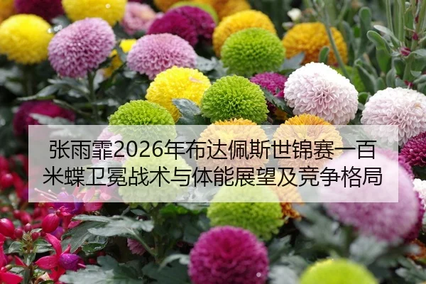 zhang-yu-fei-nian-bu-da-pei-si-shi-jin-sai-yi-bai-mi-die-wei-mian-zhan-shu-yu-ti-neng-zhan-wang-ji-jing-zheng-ge-ju-2-960.jpg
